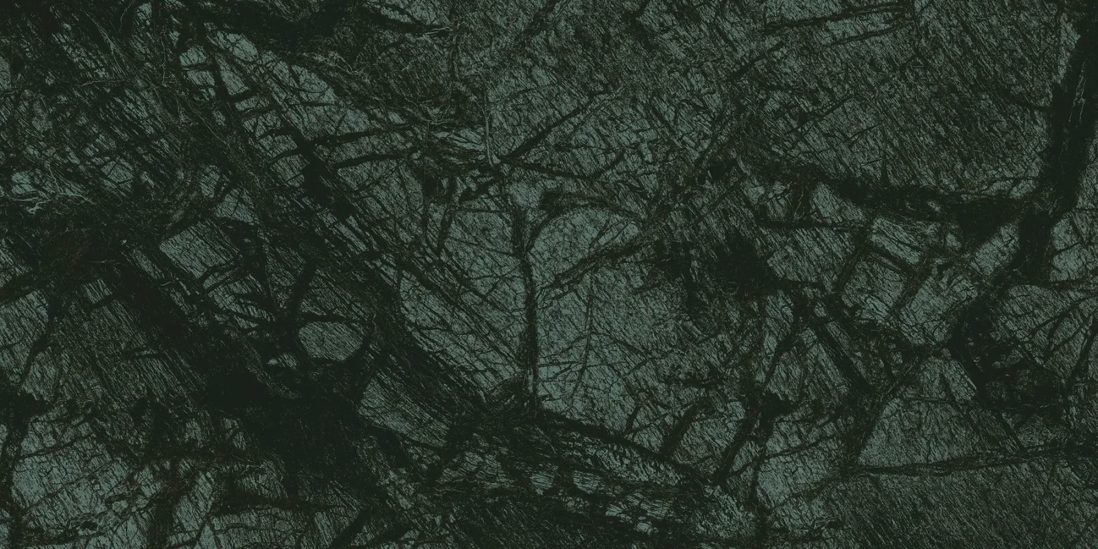 80x160 VERDE REKTİFİYE LAPPATO — 5