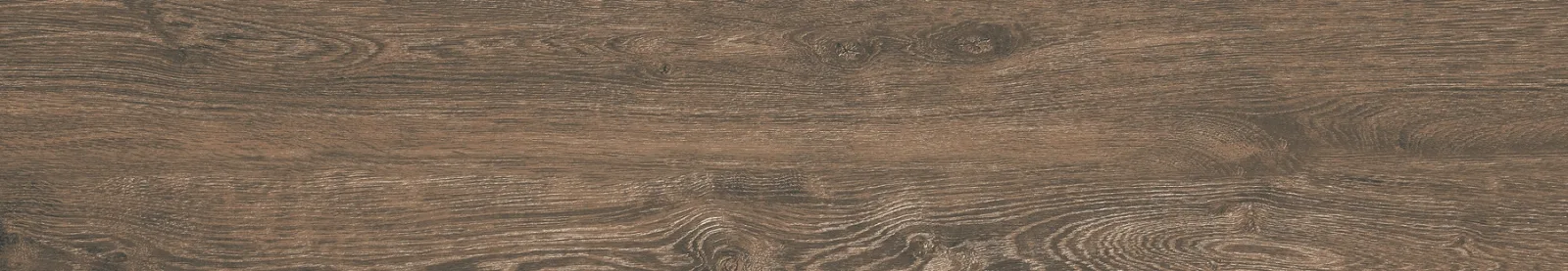 21x122 DENDRO CEVİZ — 5