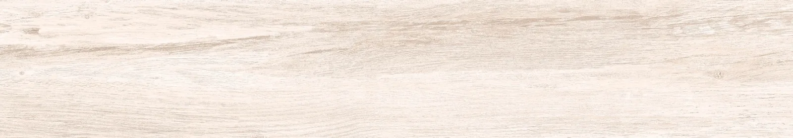 21x122 TAIGA LADIN — 3
