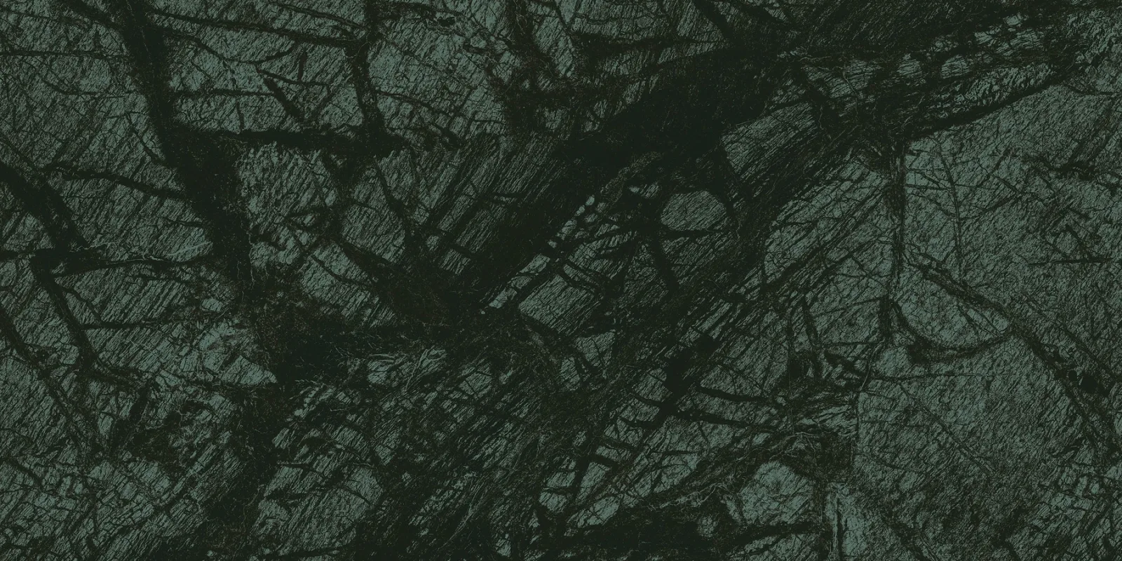 80x160 VERDE REKTİFİYE LAPPATO — 2