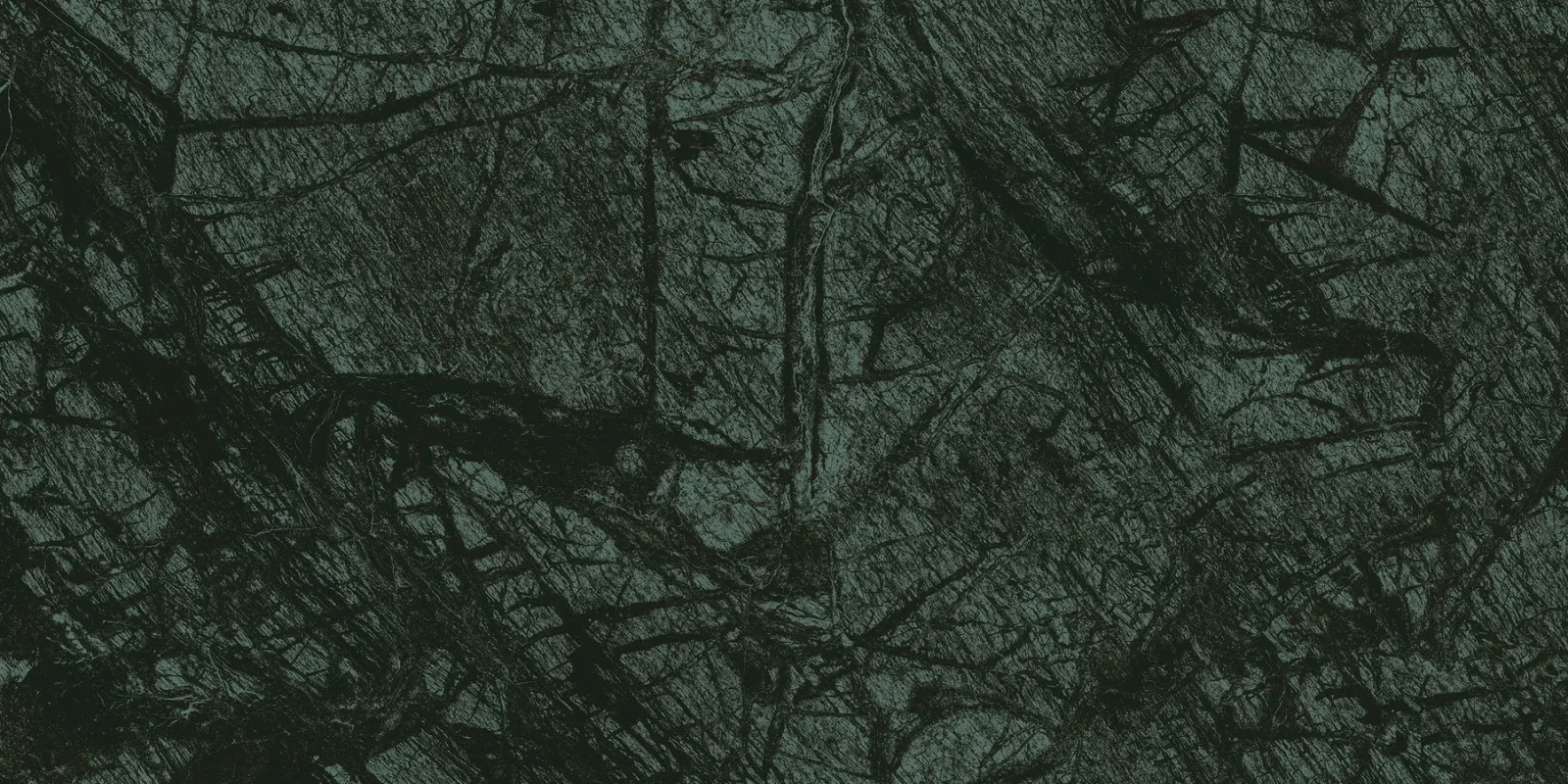 80x160 VERDE REKTİFİYE LAPPATO — 4