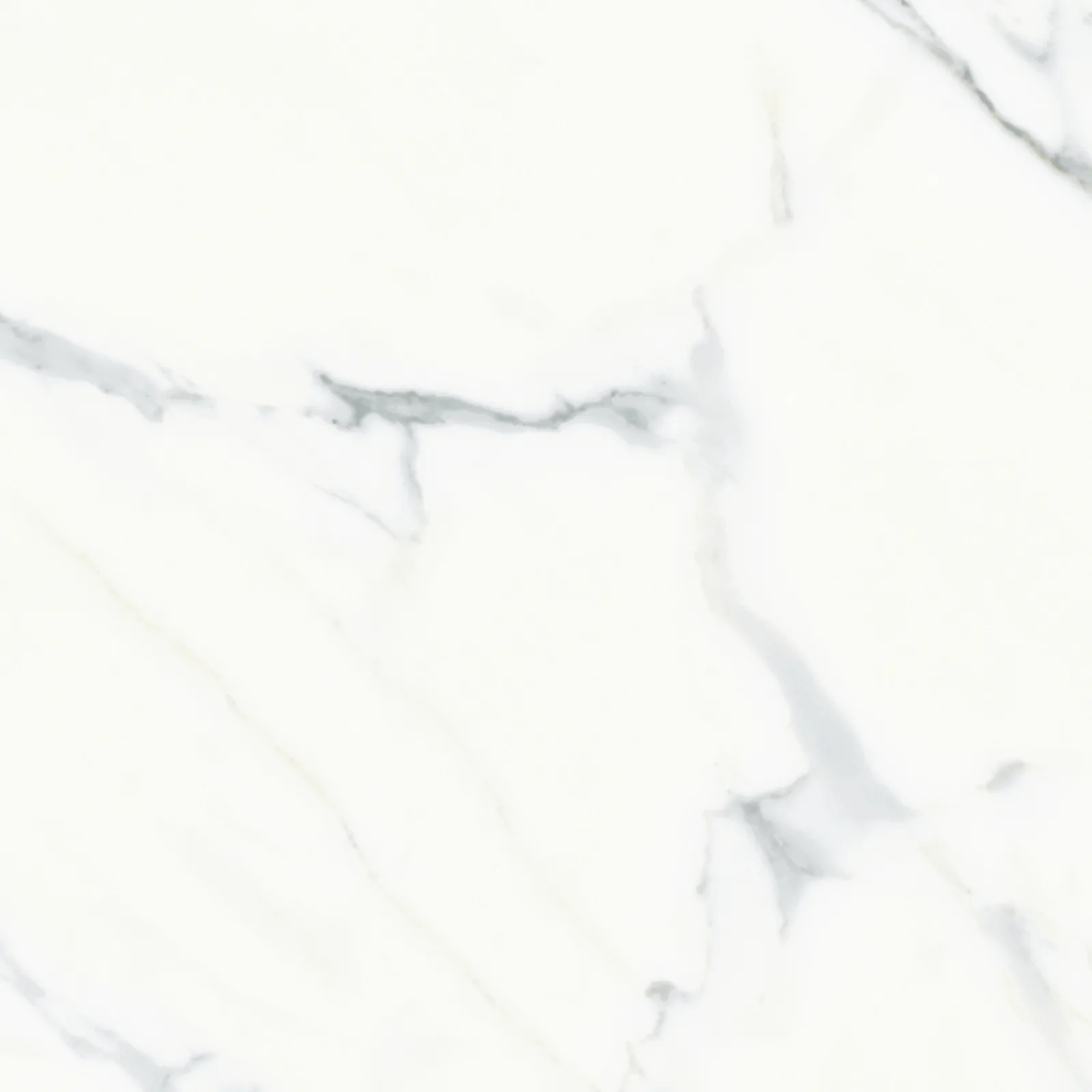 61x61 CALACATTA MAT