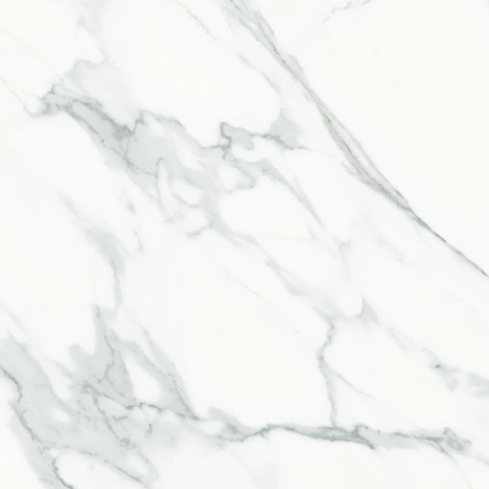 61x61 CALACATTA MAT — 4