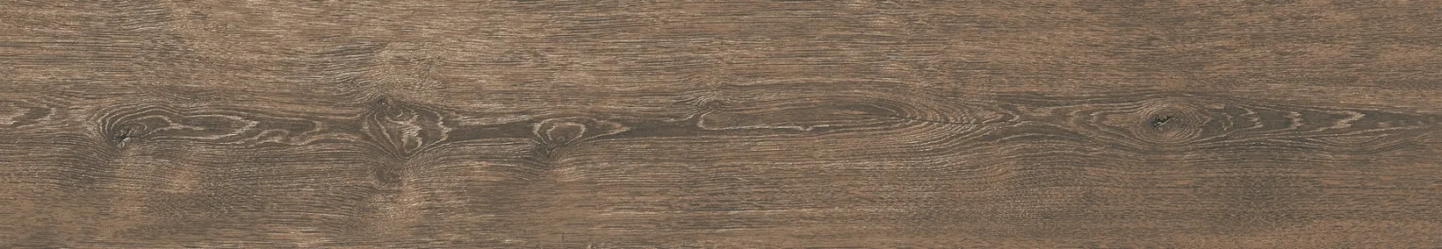 21x122 DENDRO CEVİZ — 2