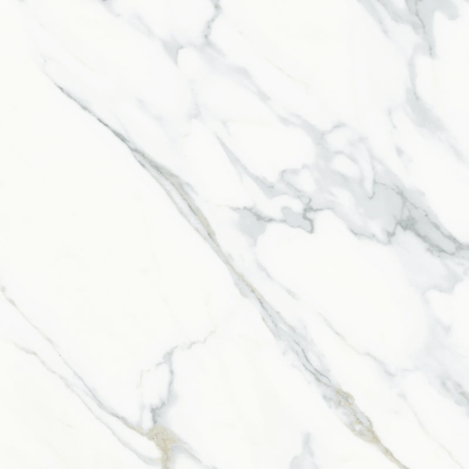 61x61 CALACATTA MAT — 6