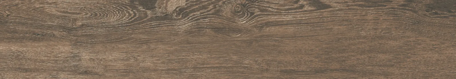 21x122 DENDRO CEVİZ — 3