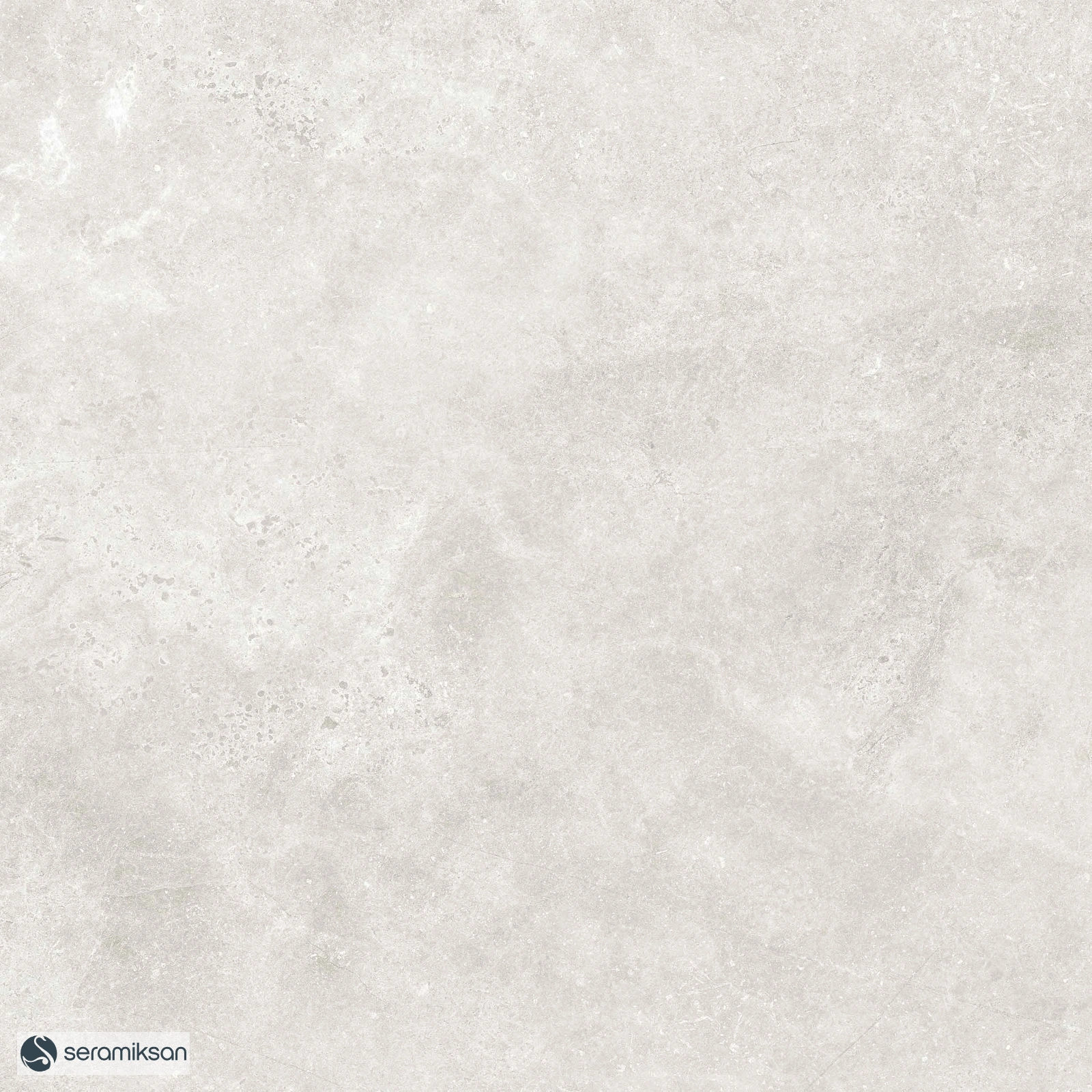 60*60 BRUGGE L. GRAY