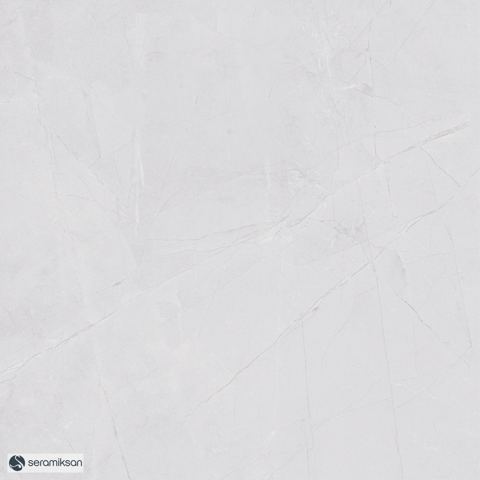 50*50 QUANTUM L.GRAY