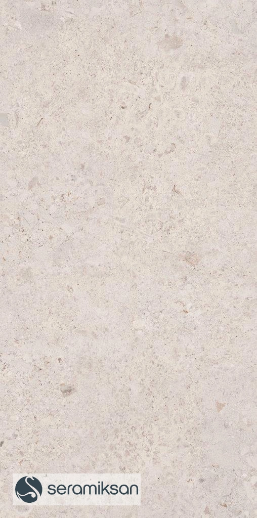 60*120 VENEZIA MATT BONE