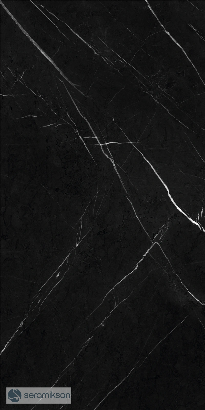 60*120 NAT. BLACK MARBLE