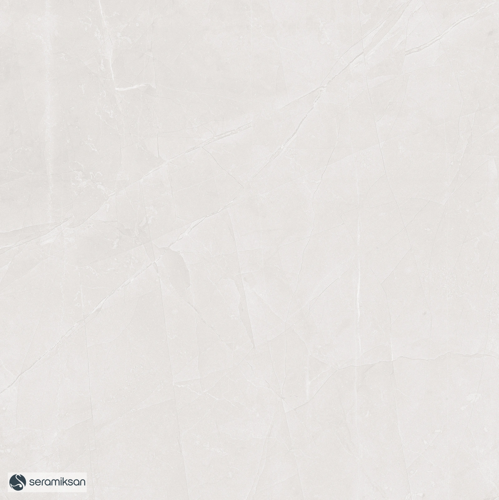 50*50 QUANTUM BONE