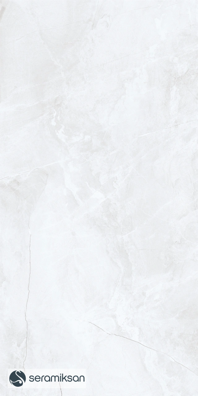 30*60 ZEUS SILVER