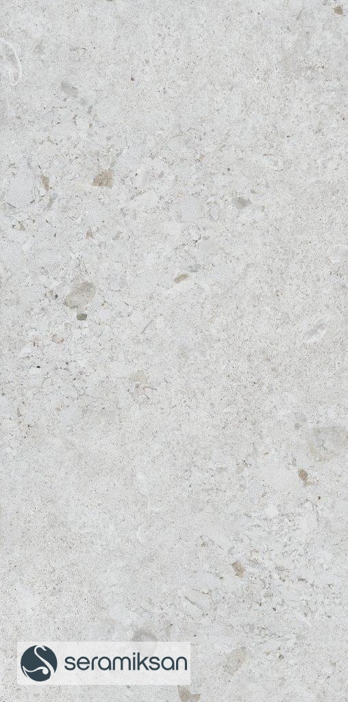 60*120 VENEZIA MATT GRAY