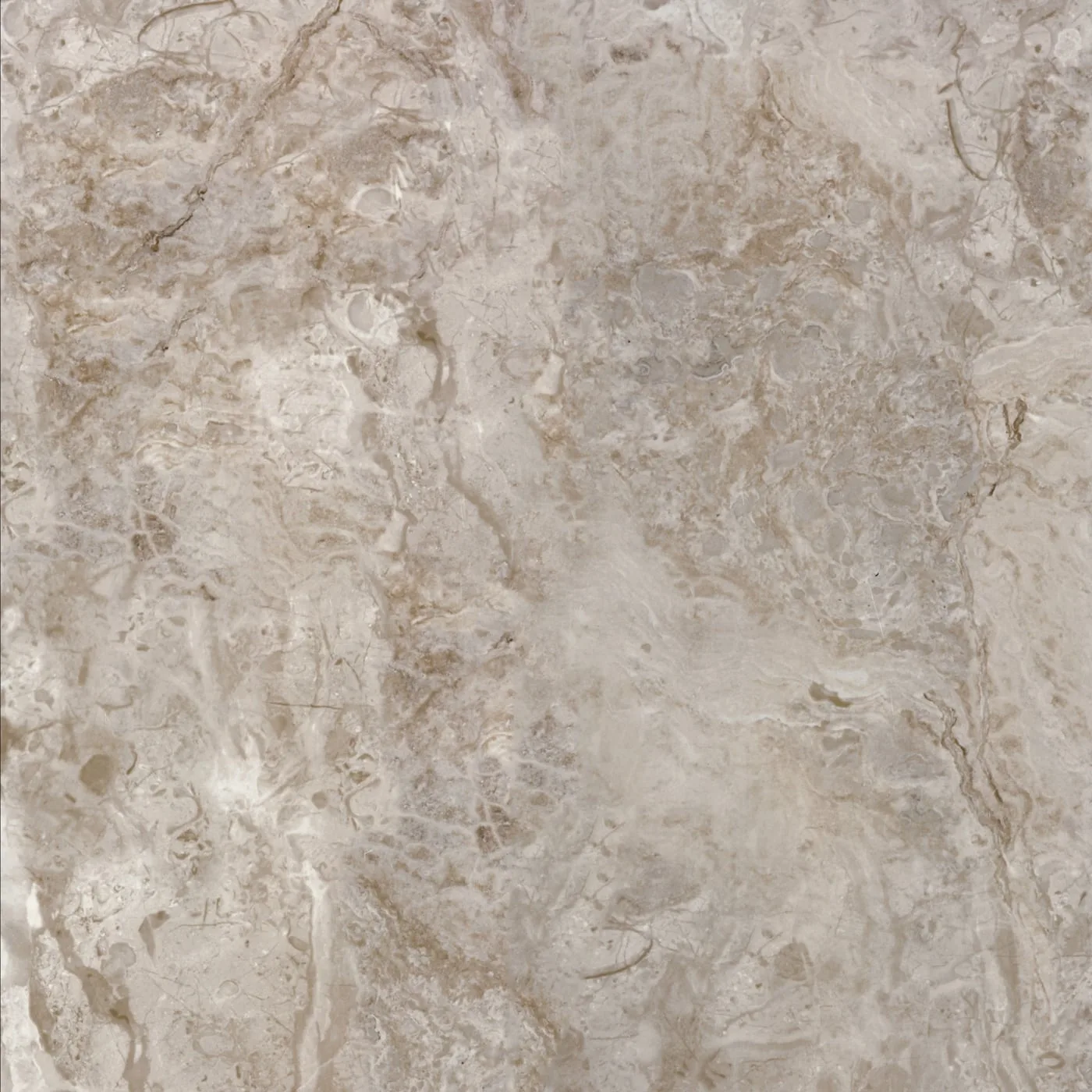 60X60 BELEKOMA-VIZON FON PARLAK — 3