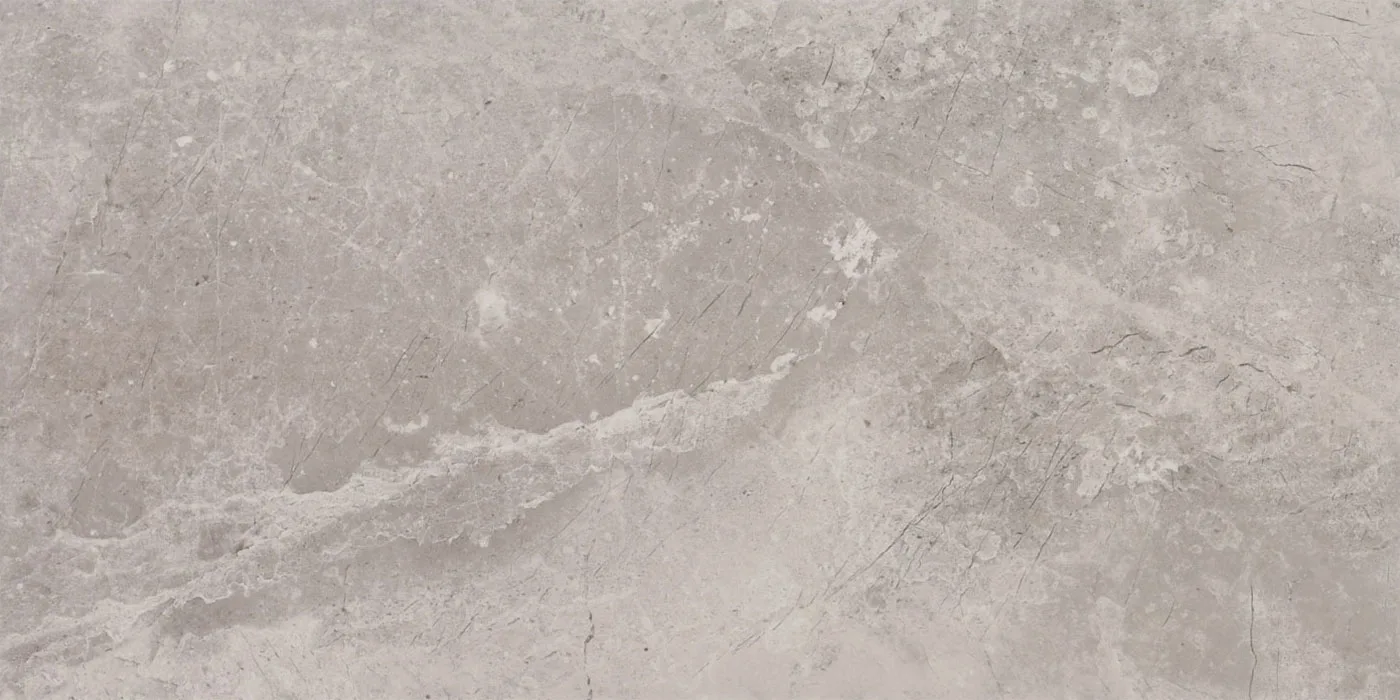 0300X0600 ROME PULPIS-GRI FON PARLAK — 4