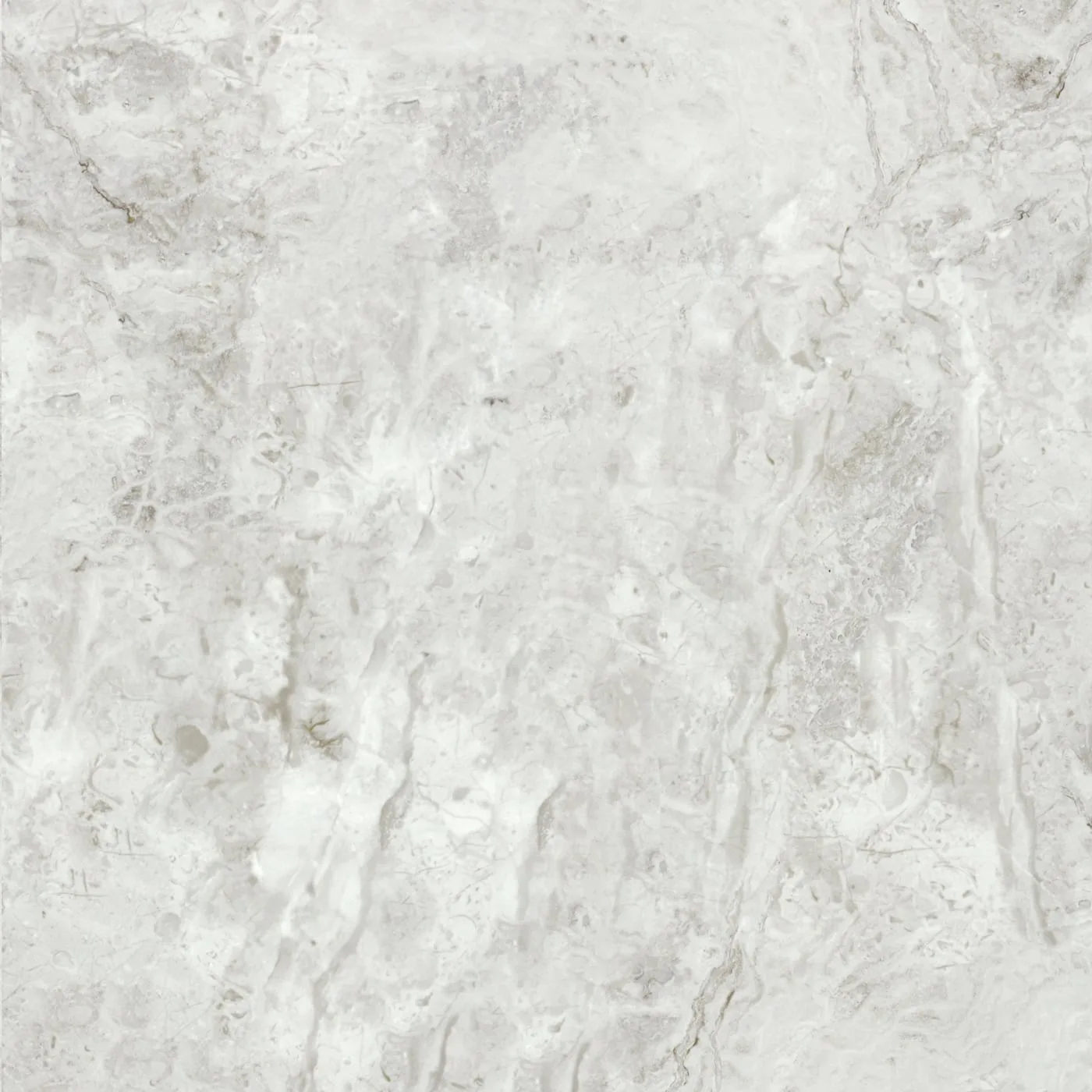 60X60 BELEKOMA-GRI FON PARLAK — 3