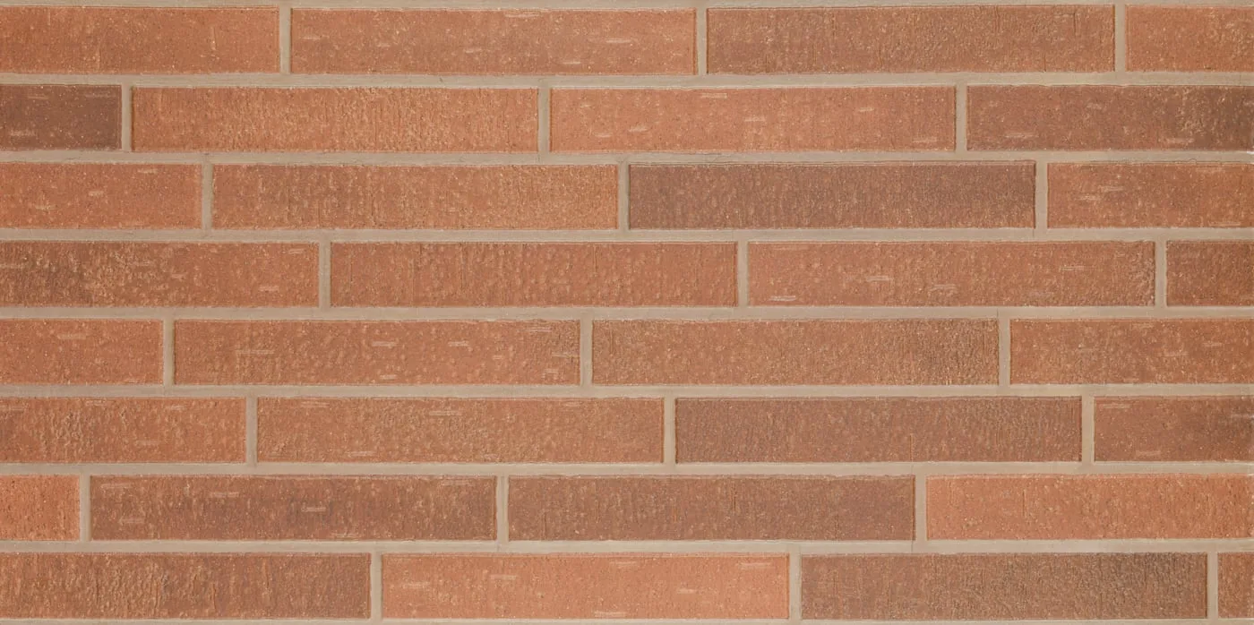 60X120 STONE BRICK-COTTO FON MAT — 2