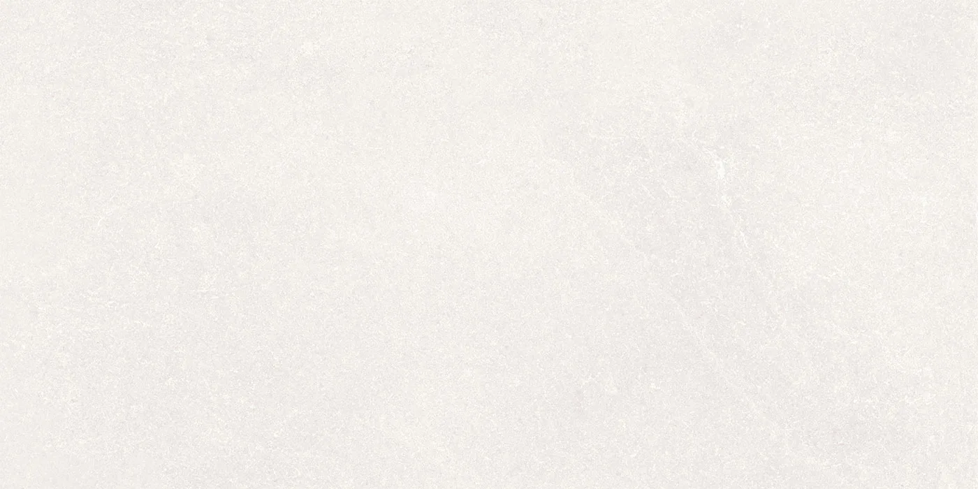 0600X1200 RENATO-BIANCO FON MAT — 6