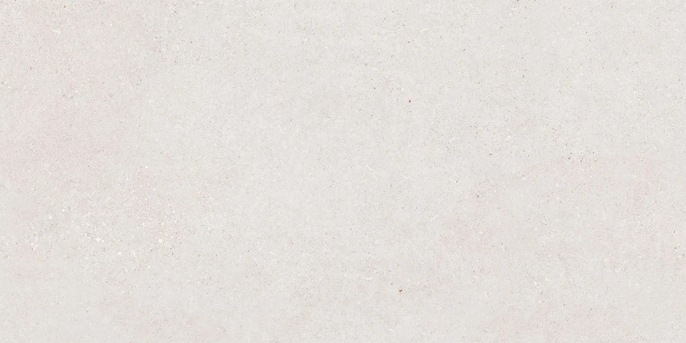 0600X1200 ROLLER STONE-AÇIK GRİ FON MAT — 5