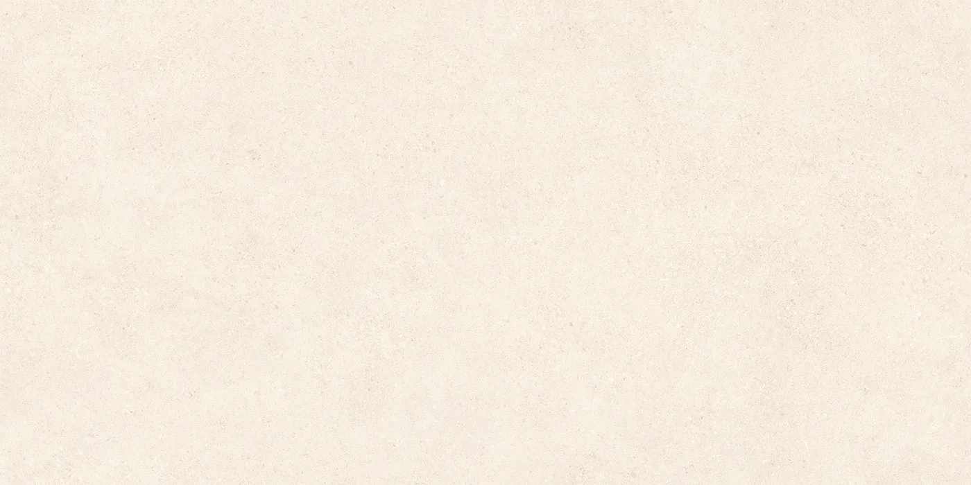 0600X1200 ROLLER STONE-BIANCO FON MAT — 5