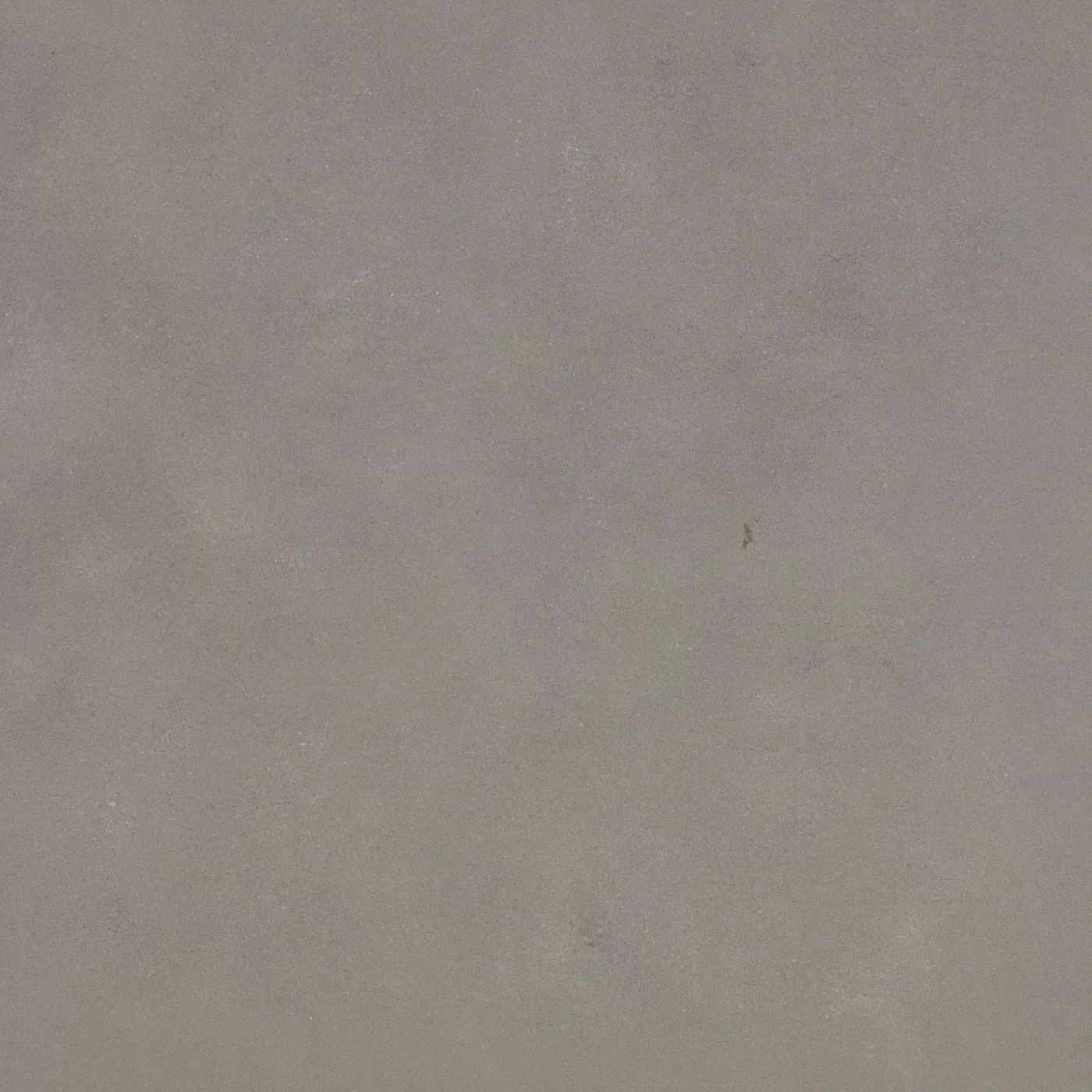 90X90  COSMOS-GRI FON MAT — 3