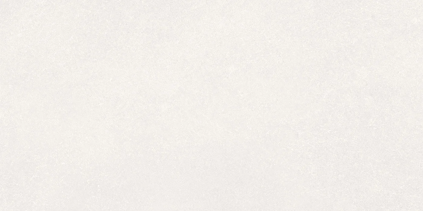 0600X1200 RENATO-BIANCO FON MAT — 5