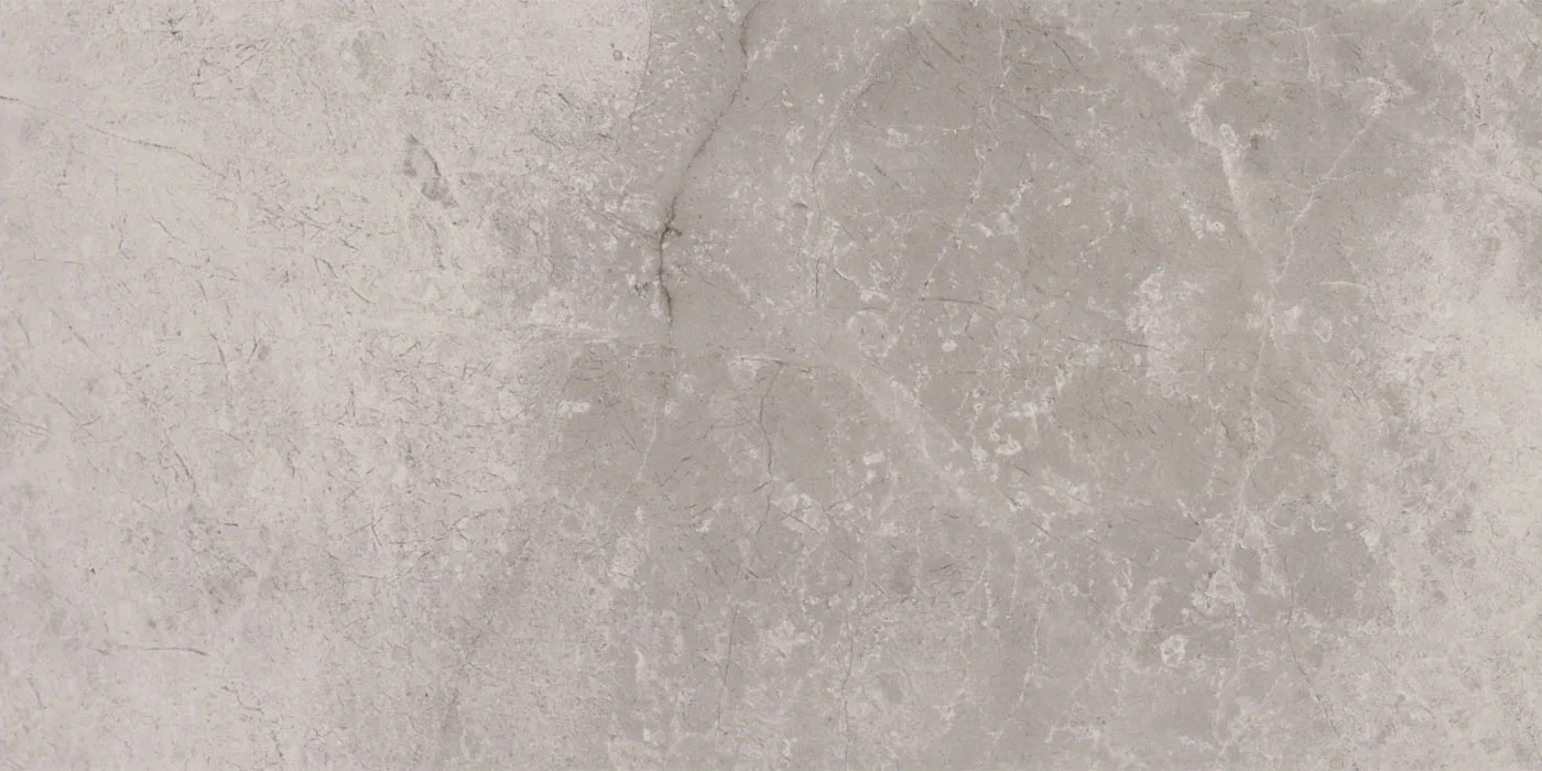 0300X0600 ROME PULPIS-GRI FON PARLAK — 2