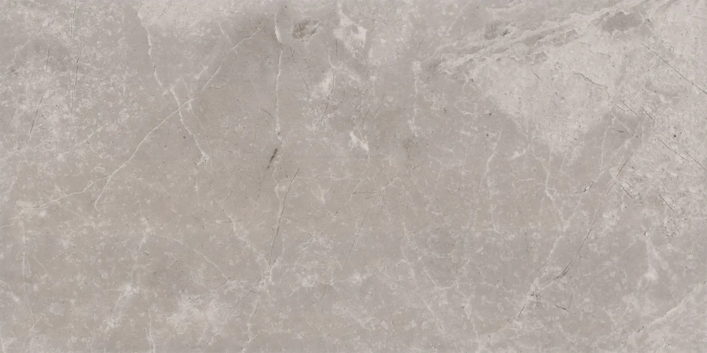 0300X0600 ROME PULPIS-GRI FON PARLAK — 6
