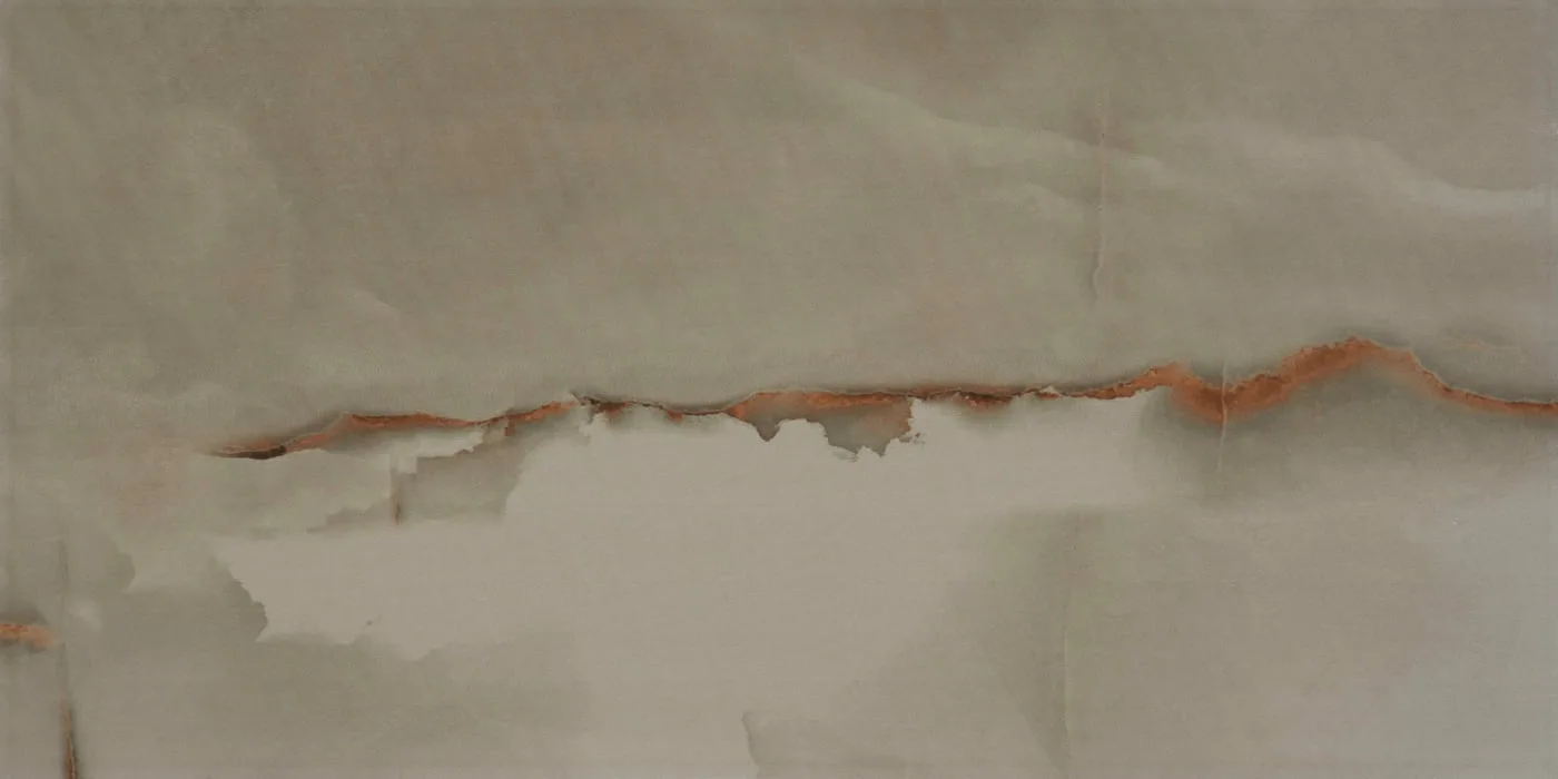 30x60 MARBLE-VIZON FON PARLAK — 3