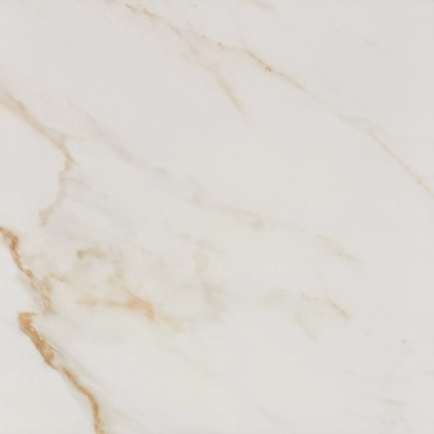 60X60 NEW CALACATTA-ALTIN FON PARLAK — 4