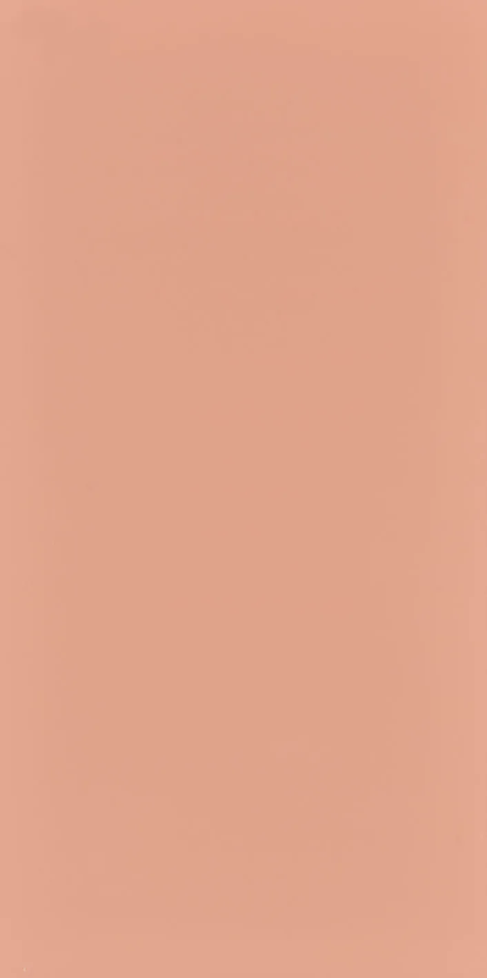 60X120 Style Pastel Somon Fon Mat — 2