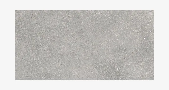 0600X1200 RENATO-GRİ FON MAT
