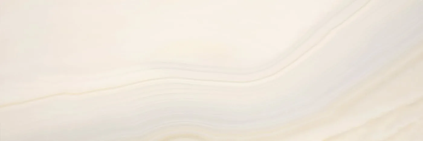 40X120 AGATHA-BEYAZ FON PARLAK — 3