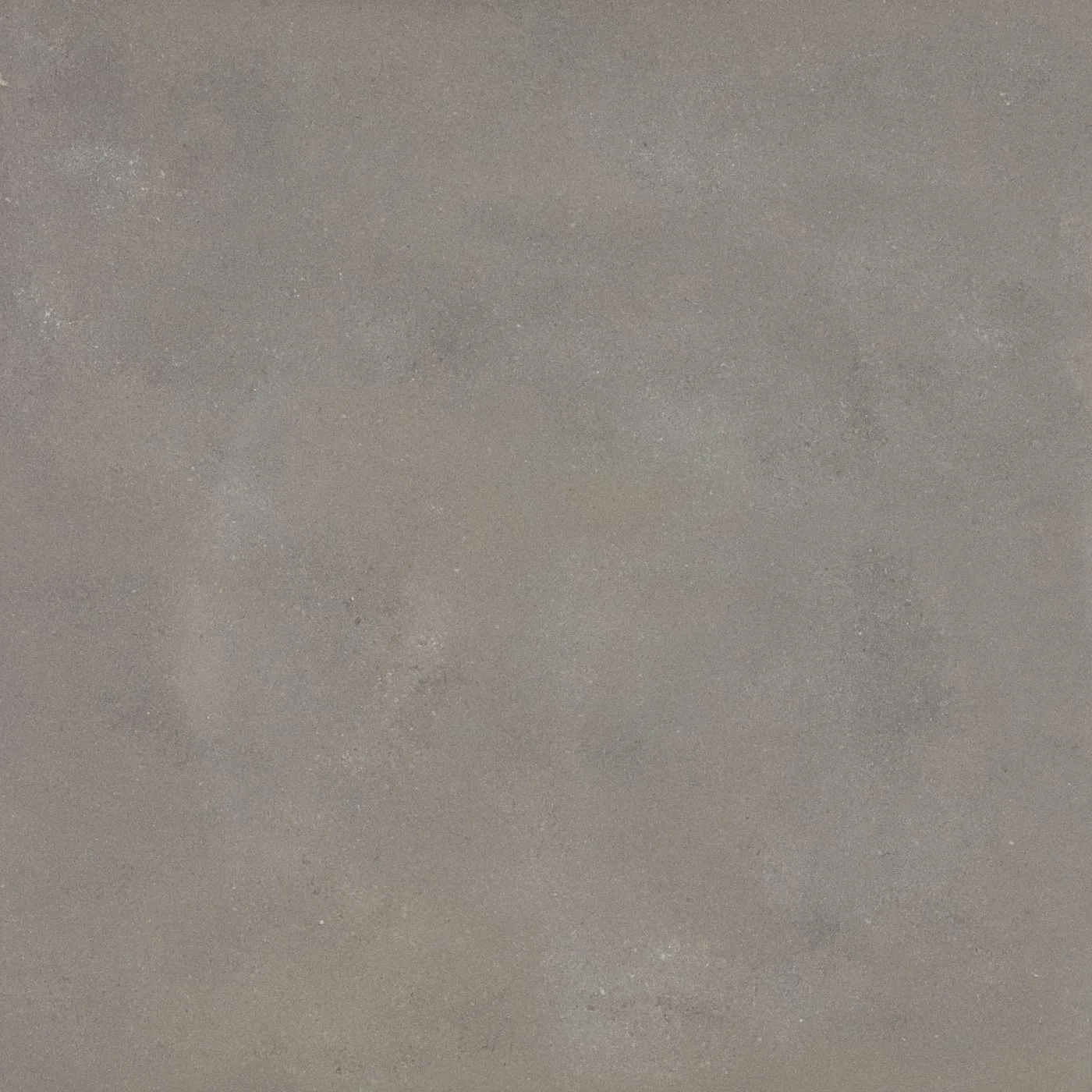 90X90  COSMOS-GRI FON PARLAK — 2