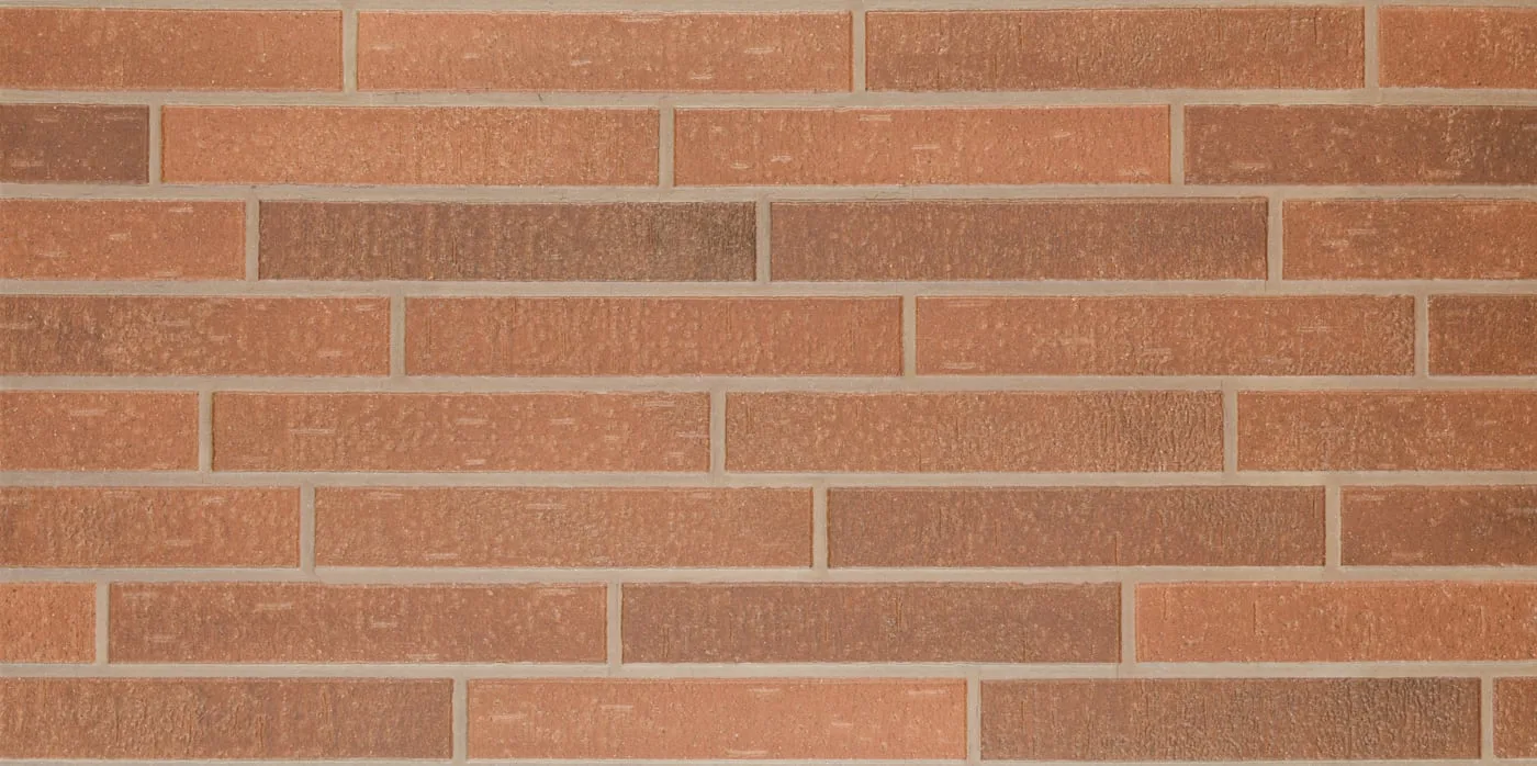 60X120 STONE BRICK-COTTO FON MAT — 4