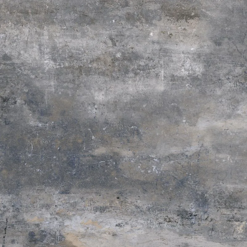 Fossil — 6