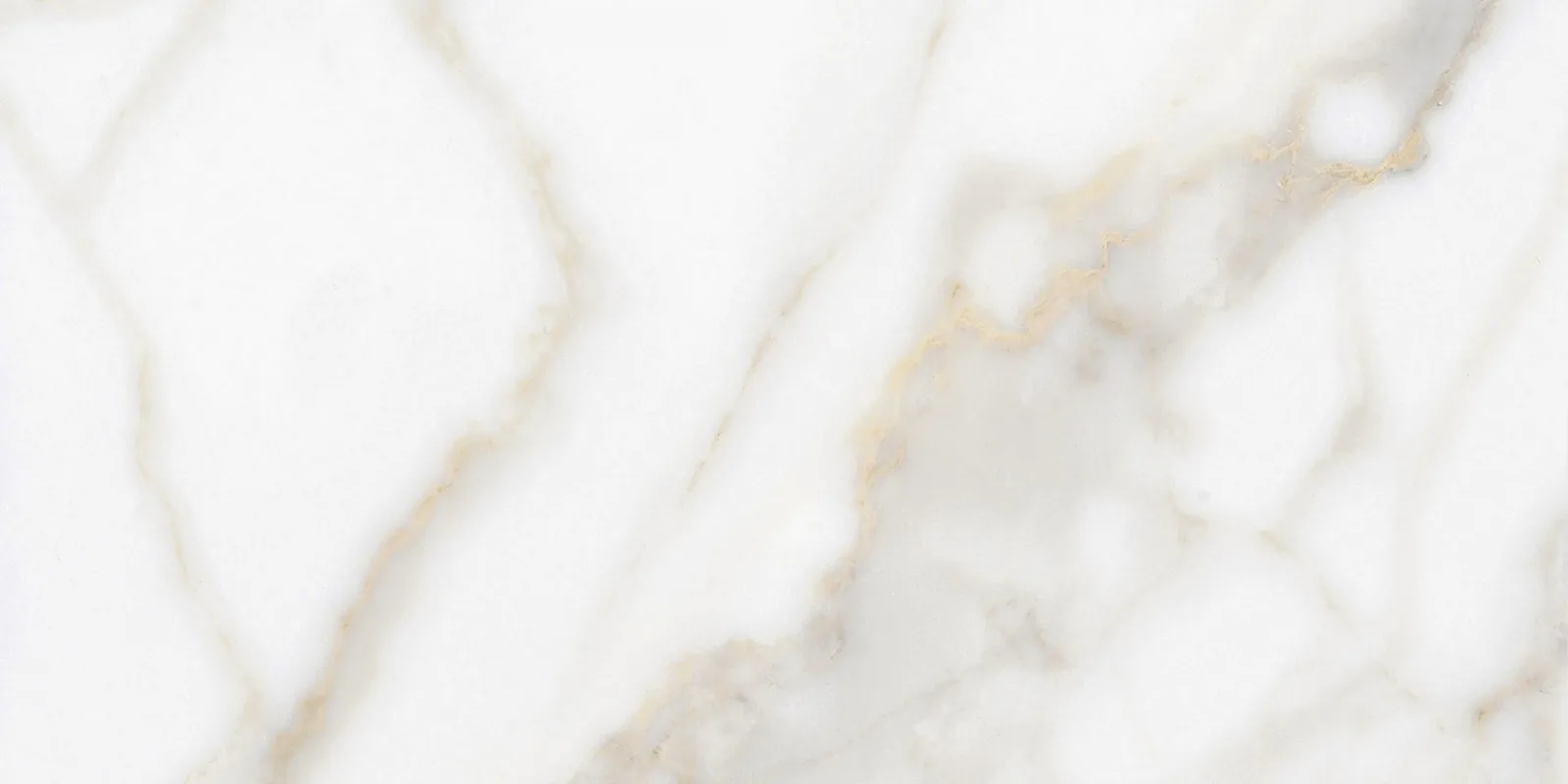 Gold Calacatta