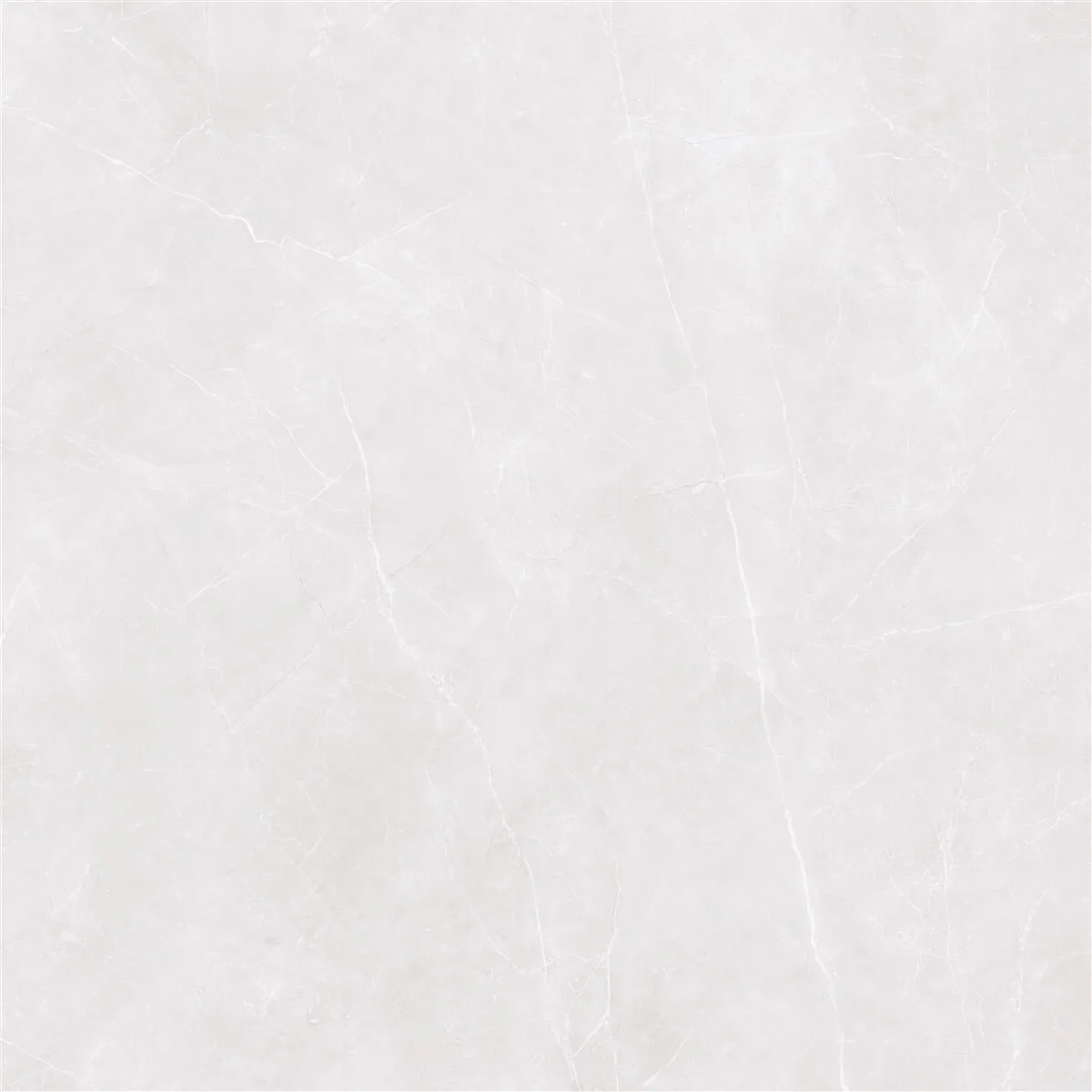 80x80 STERLINA Silver Polish Rektifiyeli