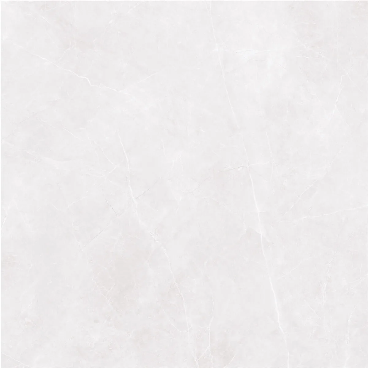 80x80 STERLINA Silver Mat Rektifiyeli