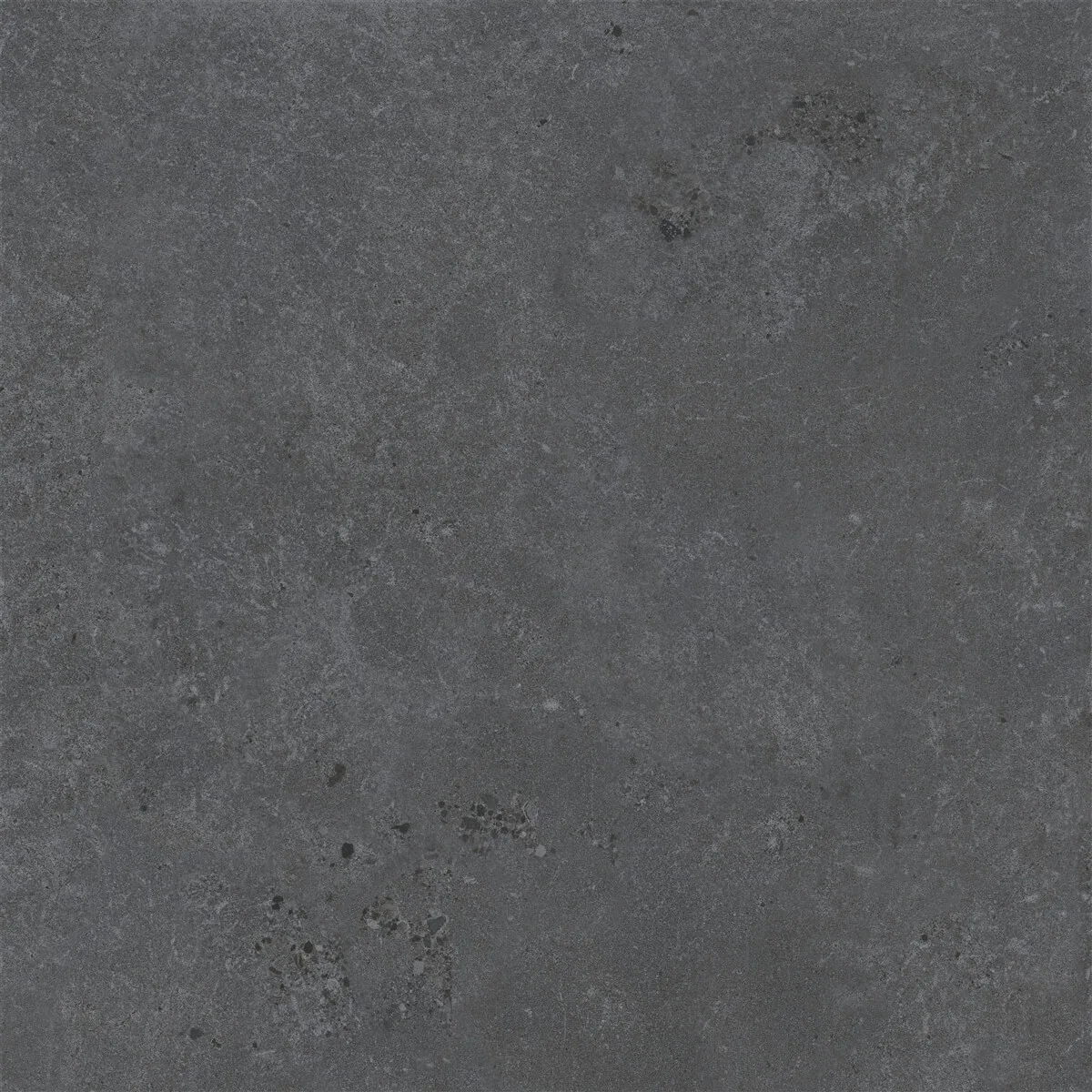60x60 Walk Antrasit Mat