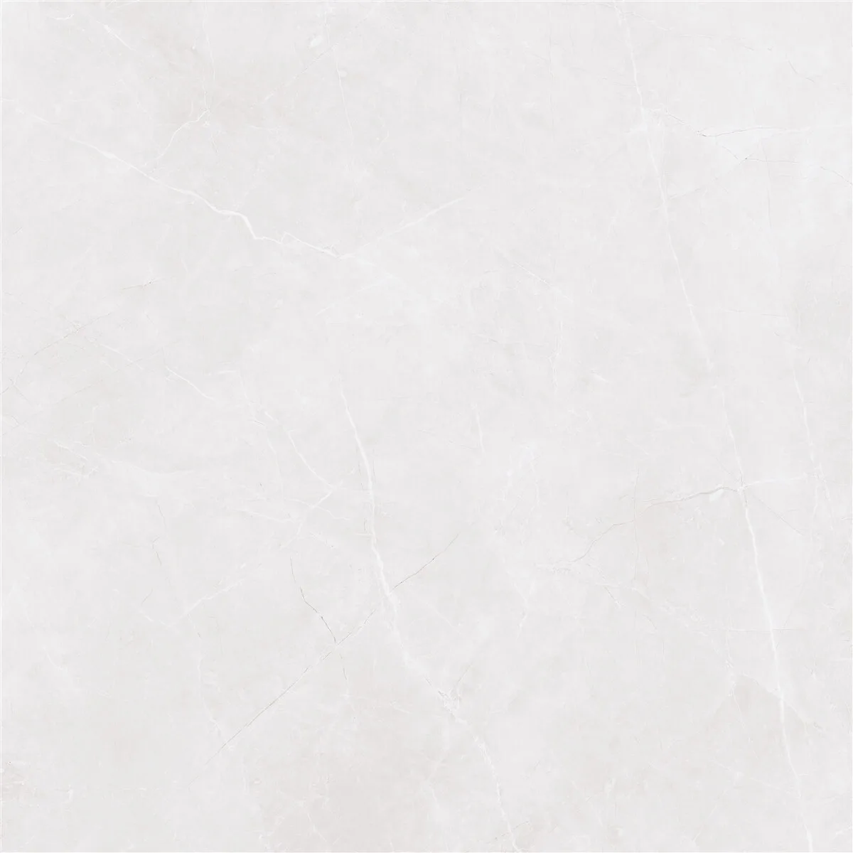 60x60 STERLINA Silver Mat Rektifiyeli